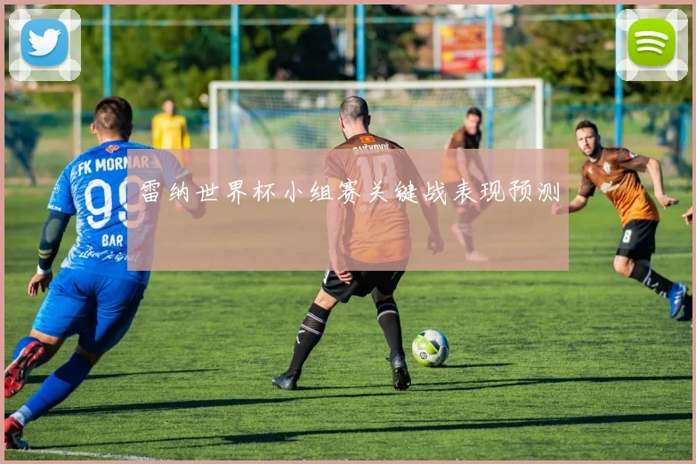 雷纳世界杯小组赛关键战表现预测