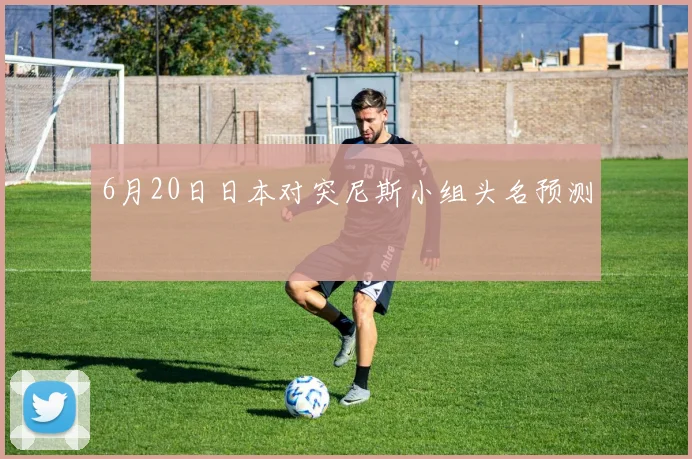 6月20日日本对突尼斯小组头名预测