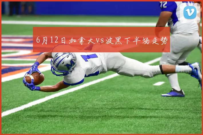 6月12日加拿大vs波黑下半场走势